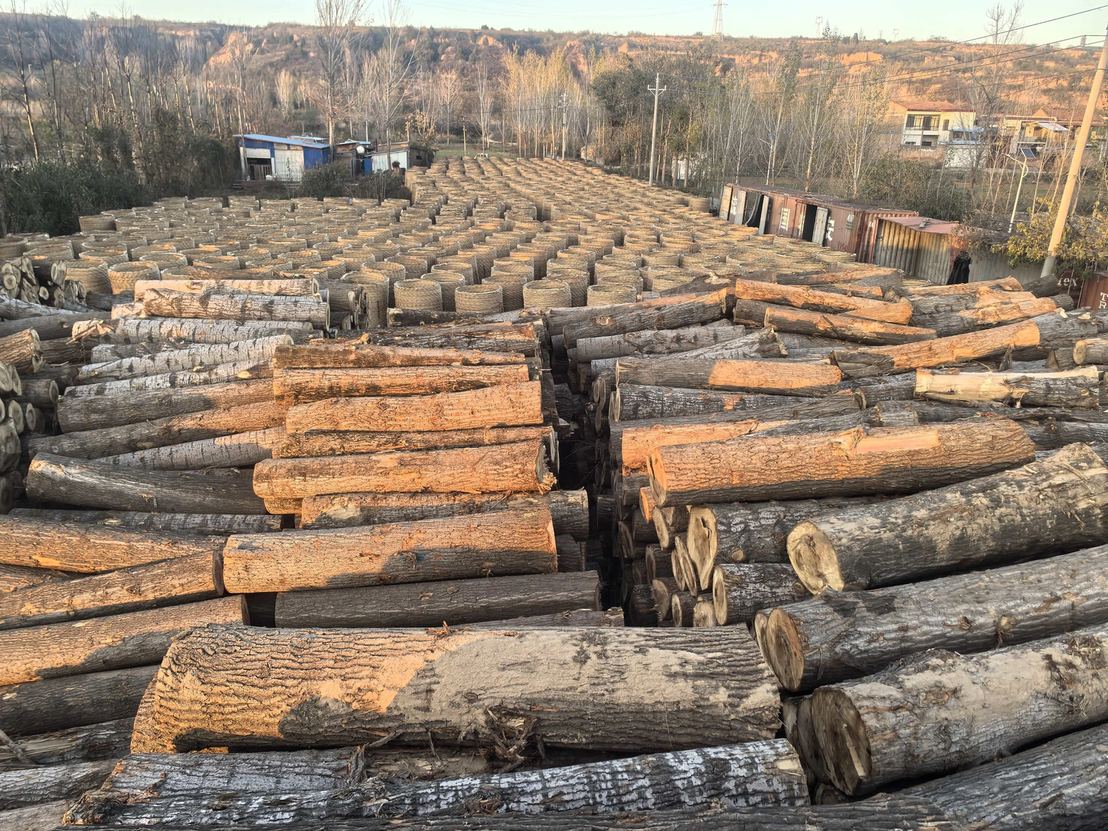 Company-archive photograph of logs and stacked wood in a material yard